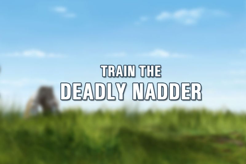 How To Train Your Dragon Comps